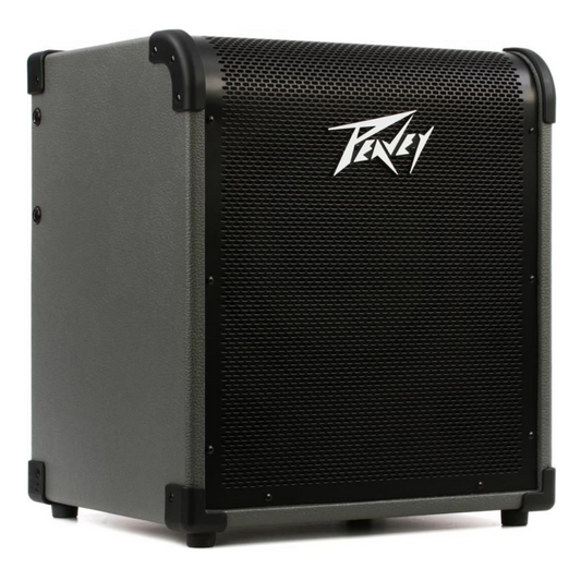 AMPLIFICADOR PEAVEY MAX 100 WATTS