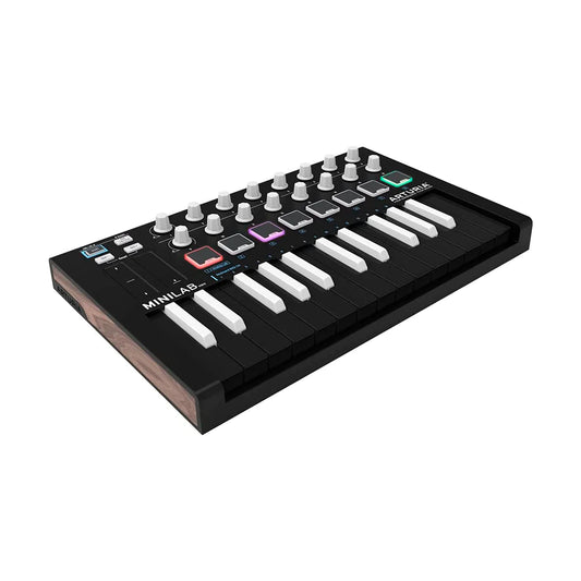 MIDI Arturia Minilab MK2 Inverted 25 keys