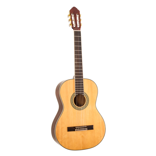 Guitarra Clásica Peavey Cuerda Nylon Delta Woods
